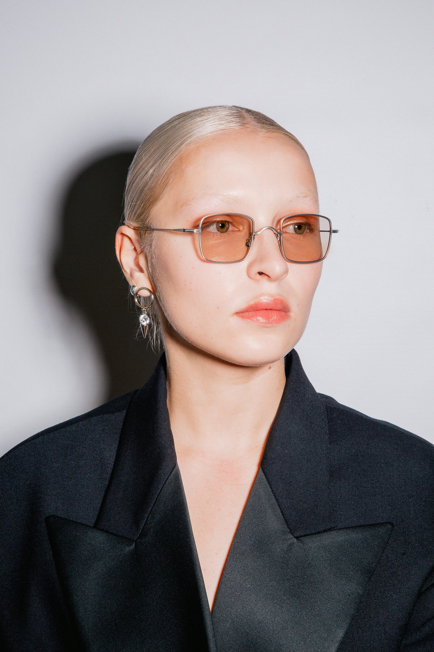 TT13 PETIT ANIMAL BRUSHED SILVER LIGHT BROWN