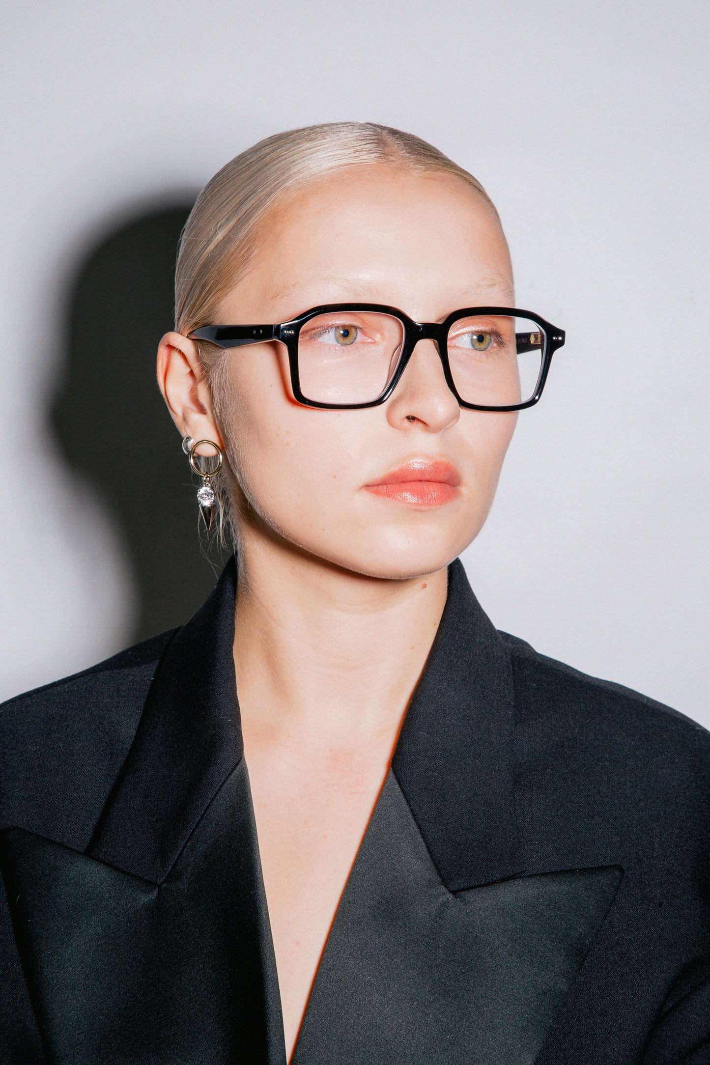 S113 Supermodel Dark Shell