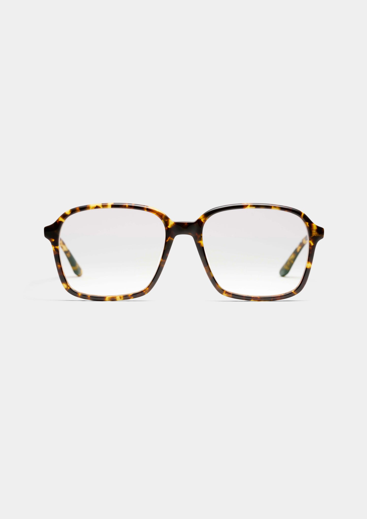 LT16 DAISY YELLOW TORTOISE