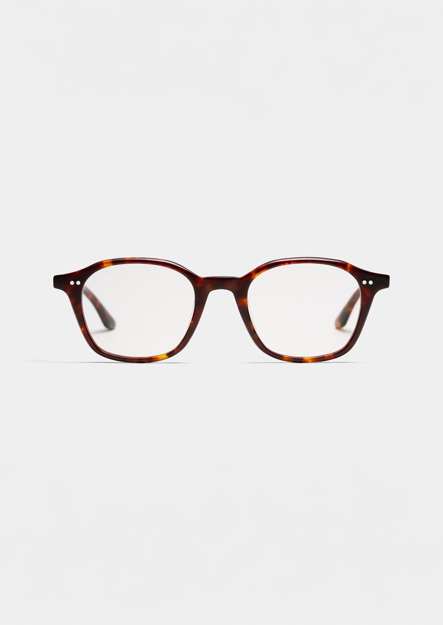 LT29 SKYLET TORTOISE