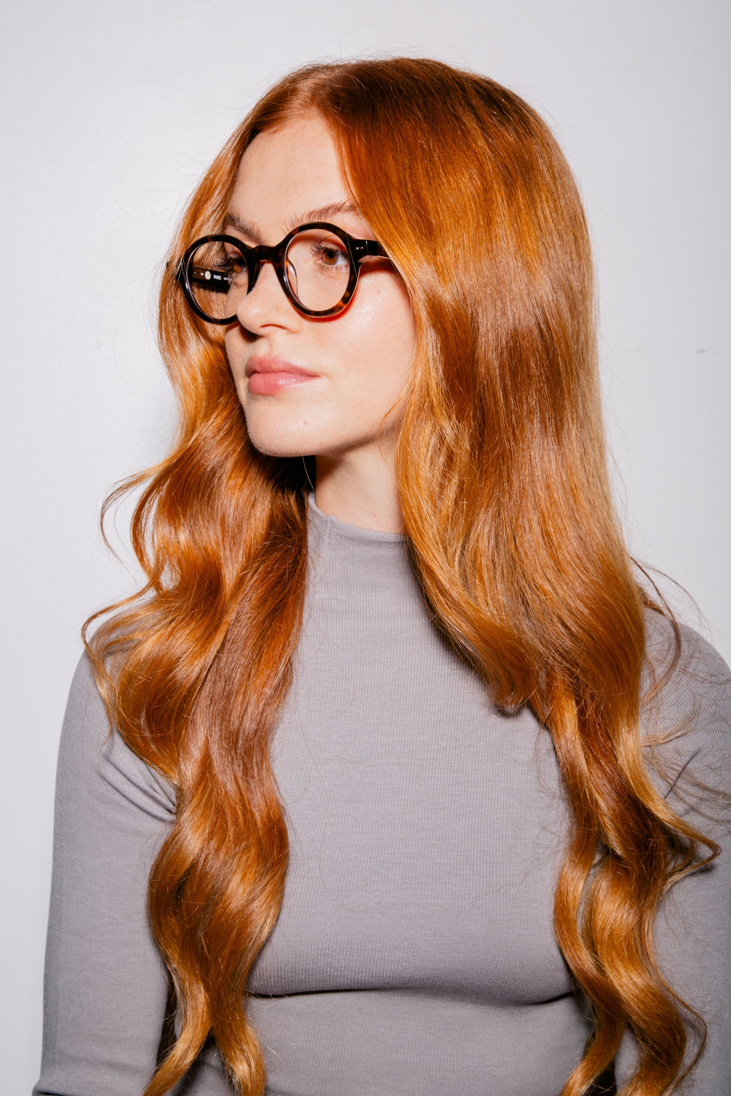 S117 MIMOSA TORTOISE