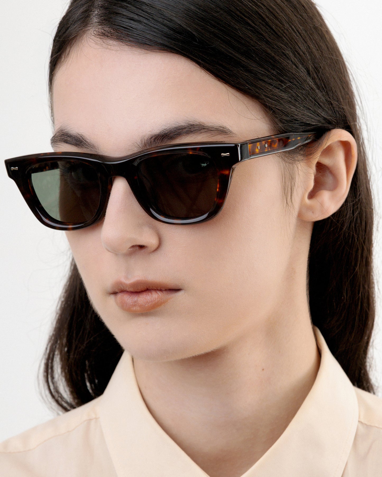 S135 RIPTIDE TORTOISE G15