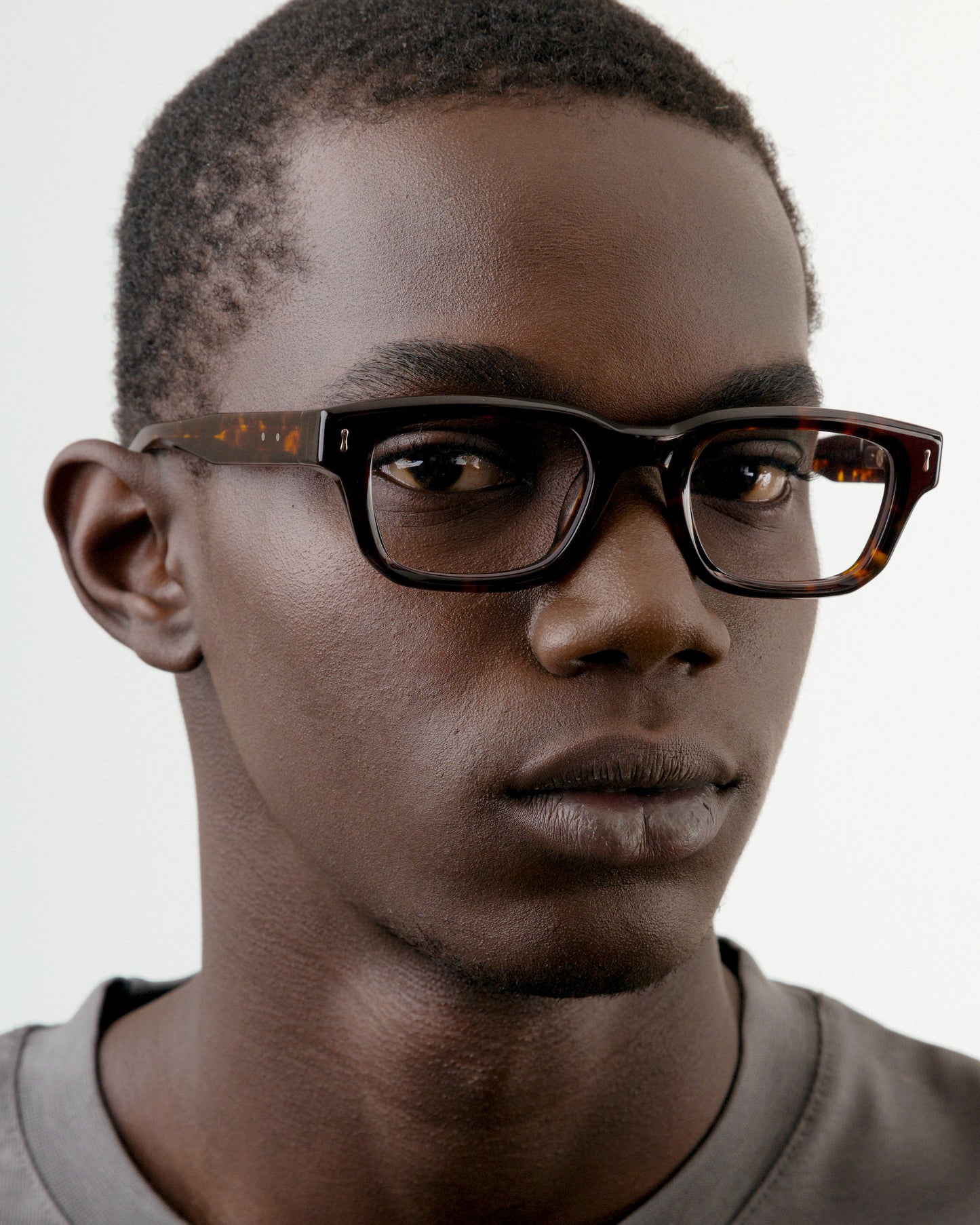 S136 ECLAIREUR TORTOISE