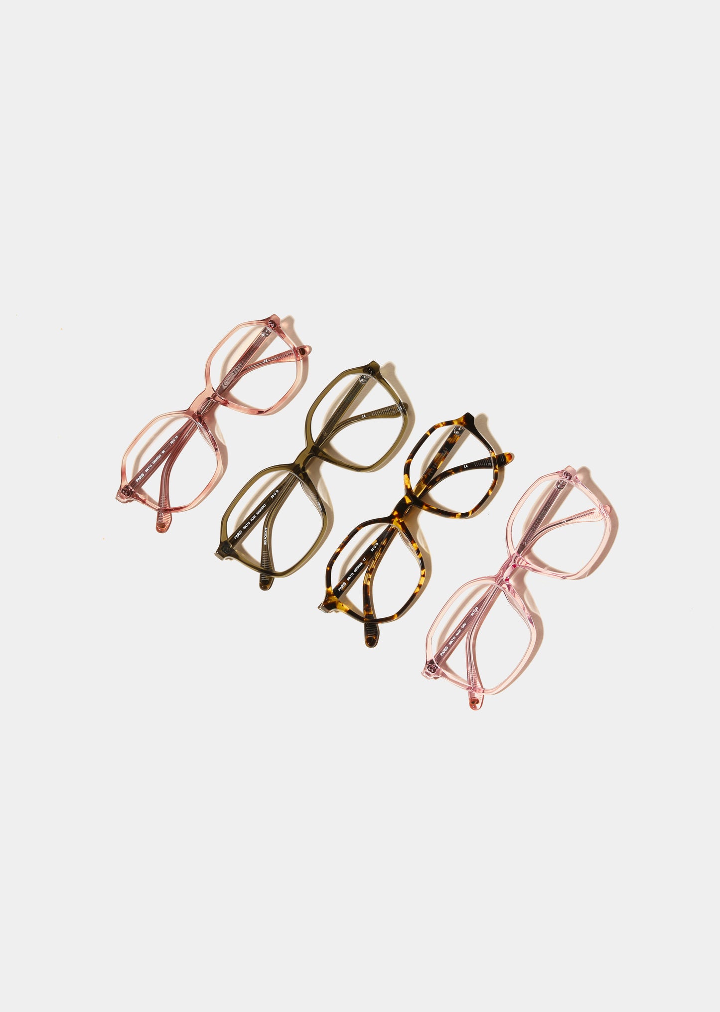 LT13 Georgia Tortoise