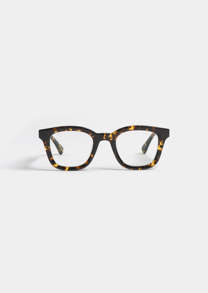 YELLOW TORTOISE