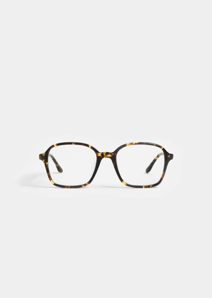 YELLOW TORTOISE