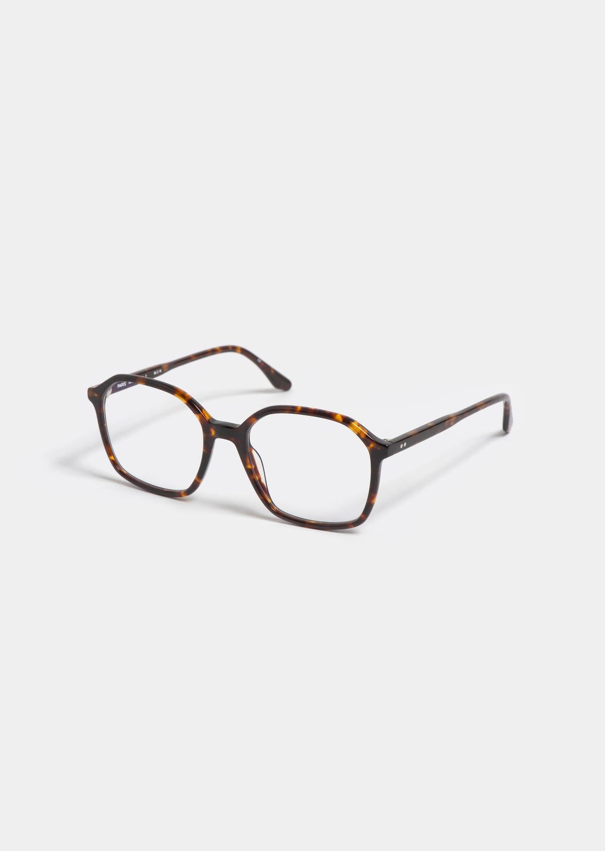 LT12 ALMA TORTOISE