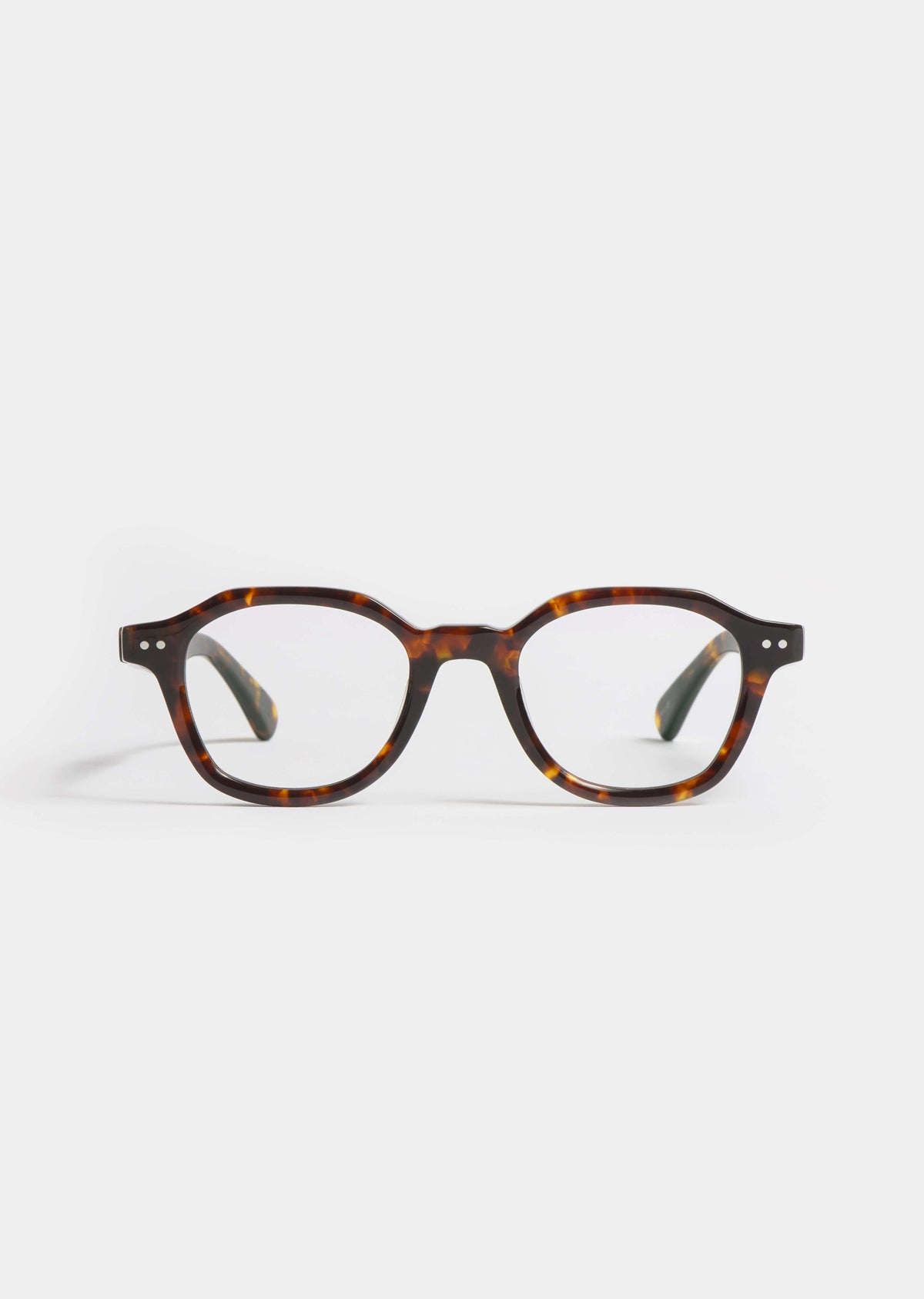 S81 SKY TORTOISE