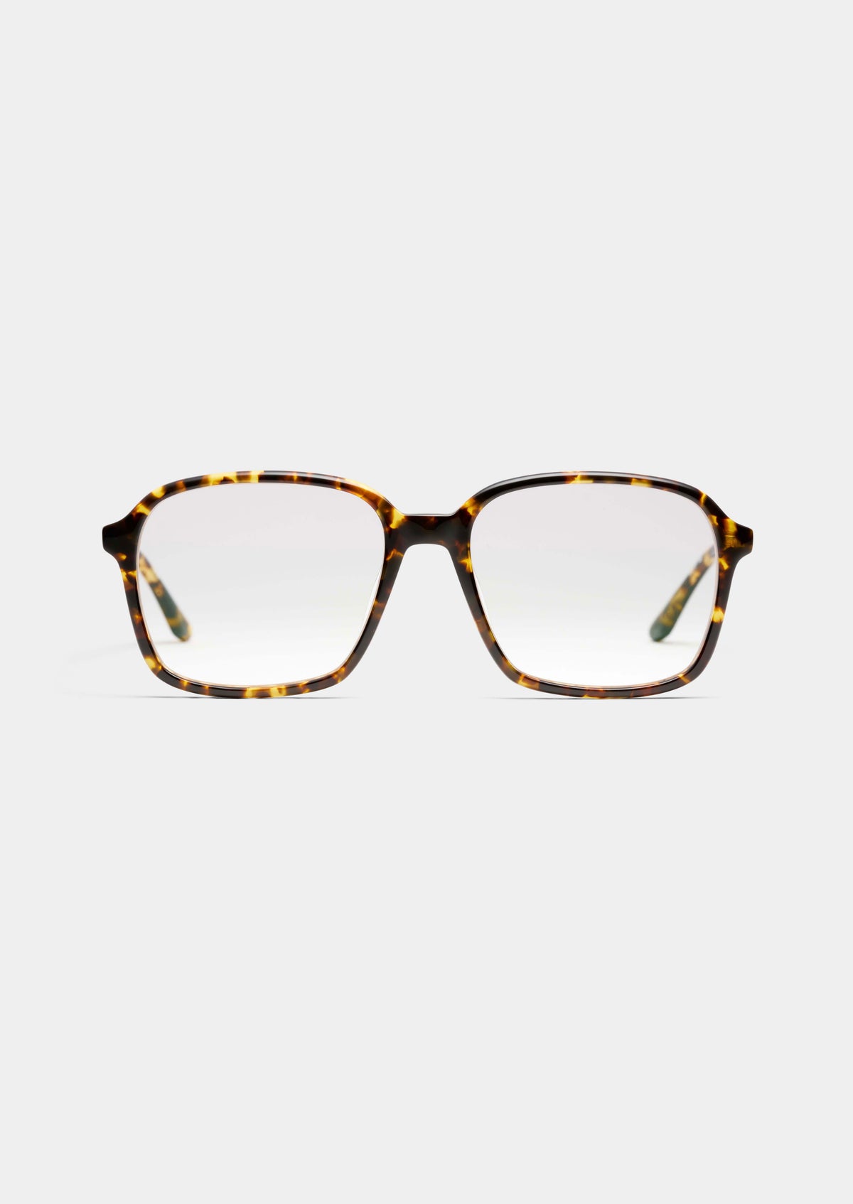 LT16 MARGUERITE YELLOW TORTOISE