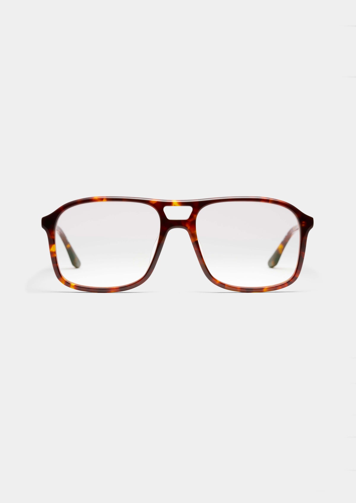 LT17 LITTLE EVA TORTOISE