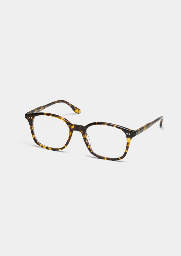 YELLOW TORTOISE