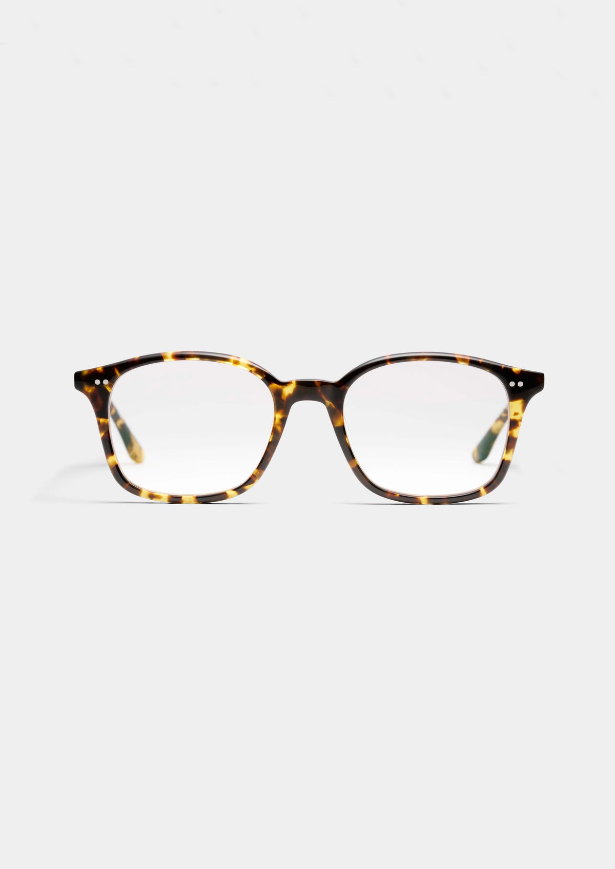 LT19 MY QUEEN YELLOW TORTOISE