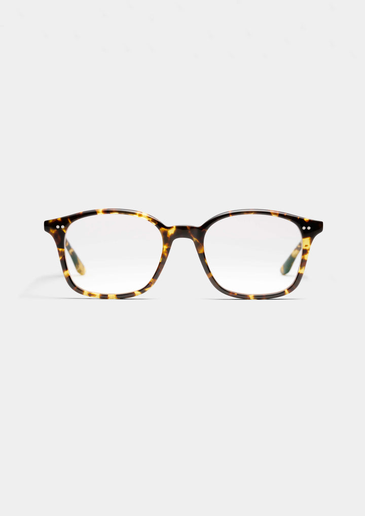 YELLOW TORTOISE