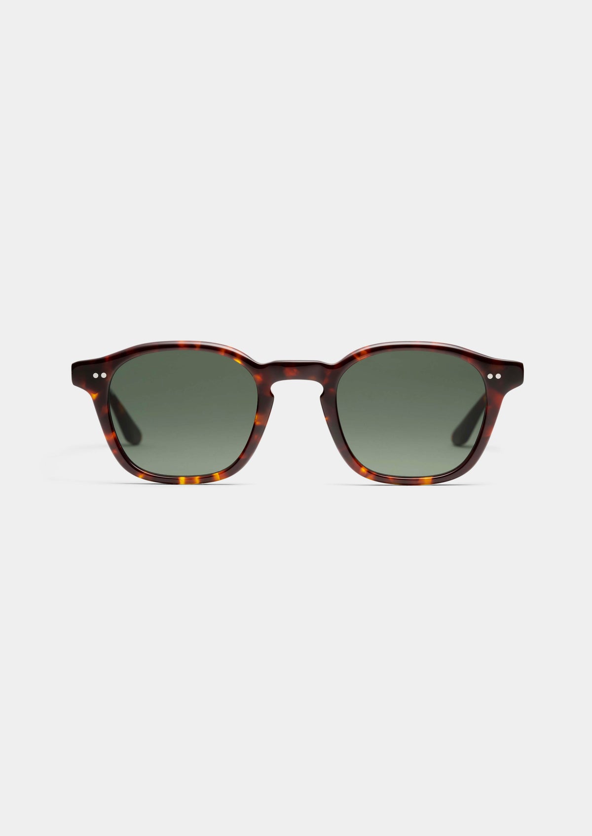 LT20 PM PALACE SUN TORTOISE G15