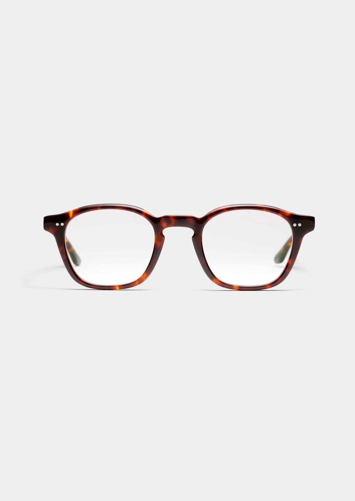 LT20 PM PALACE TORTOISE