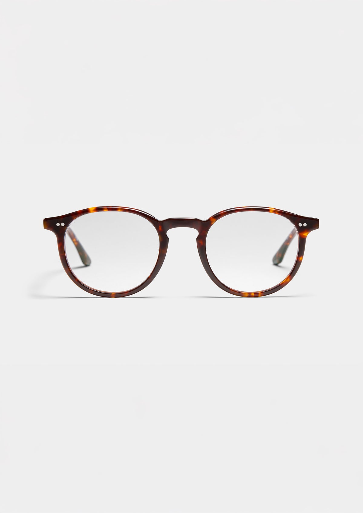 LT25 GEORGES TORTOISE