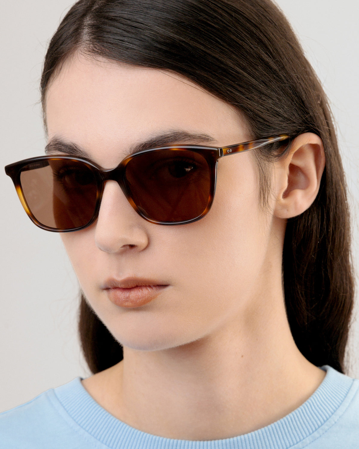 LT36 JOY SUN HAVANA BROWN