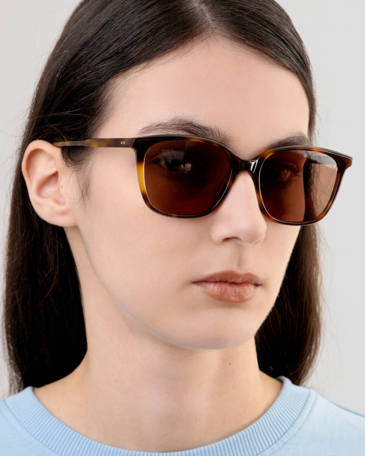 LT36 JOY SUN HAVANA BROWN