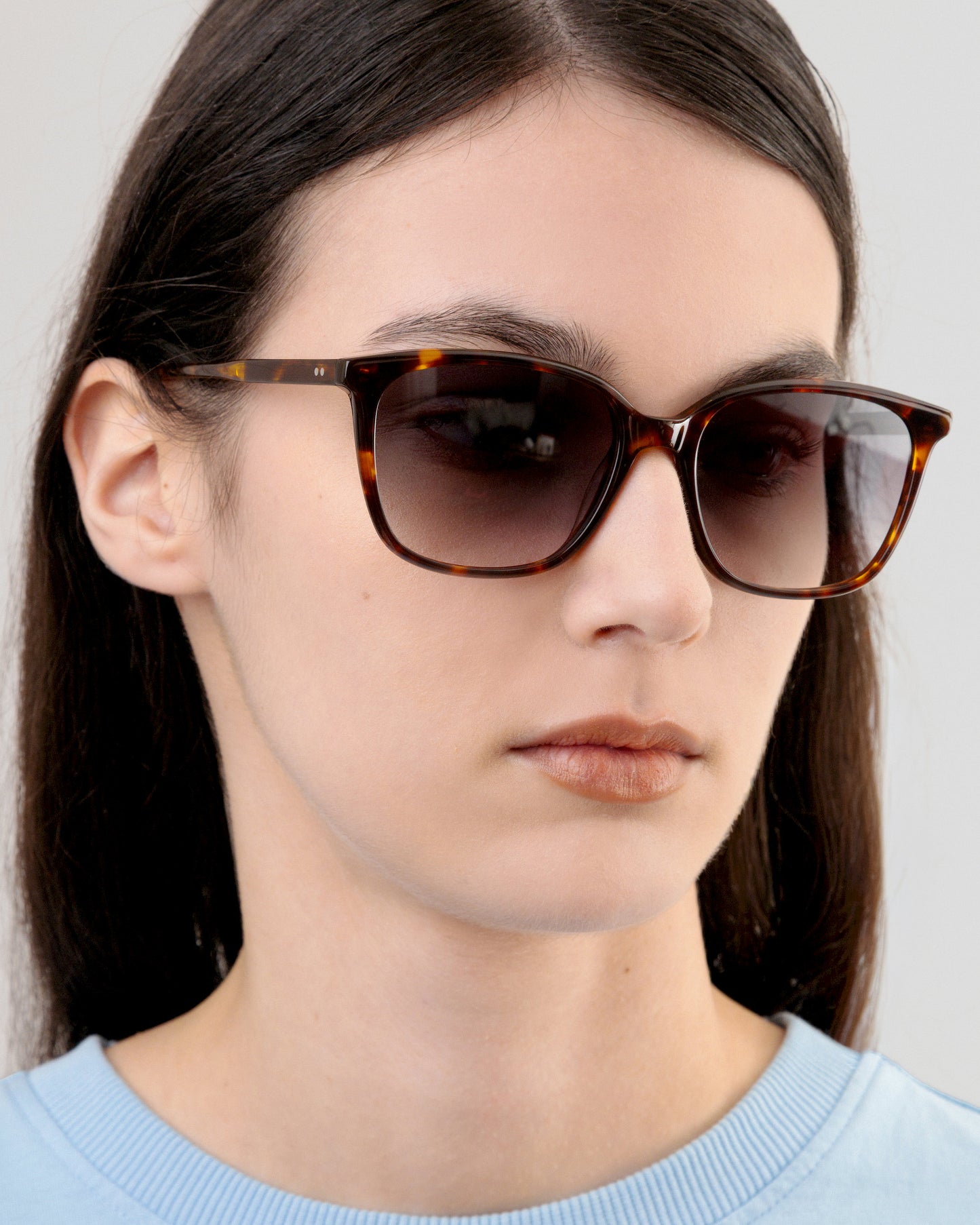 LT36 JOY SUN TORTOISE FADE GREY