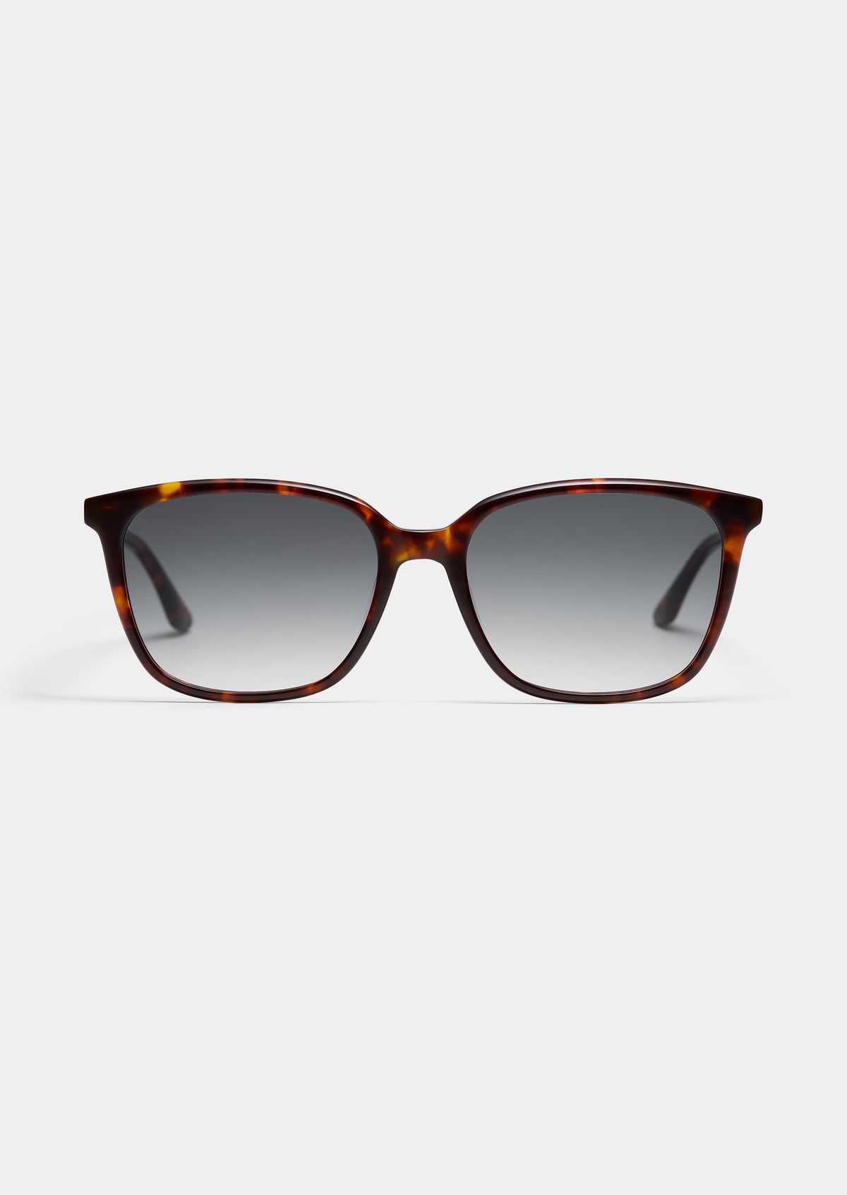 LT36 JOY SUN TORTOISE FADE GREY