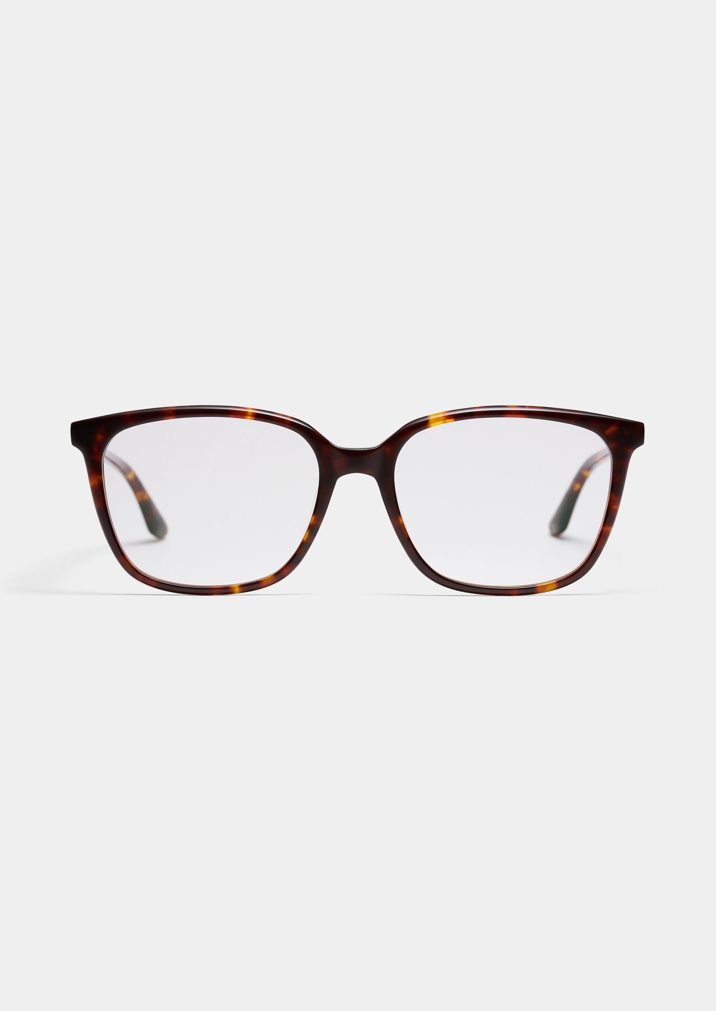 LT36 JOY TORTOISE