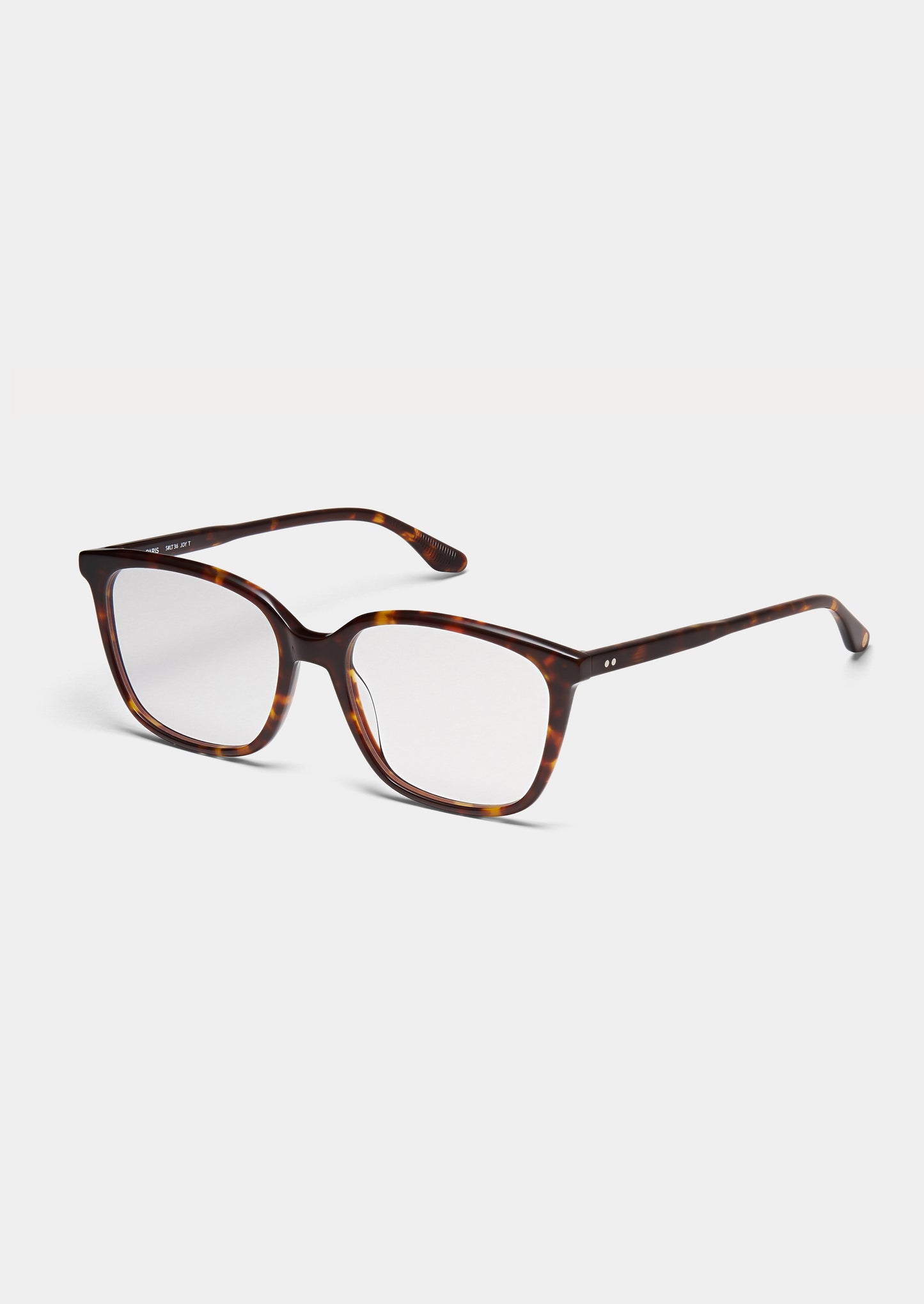 LT36 JOY TORTOISE