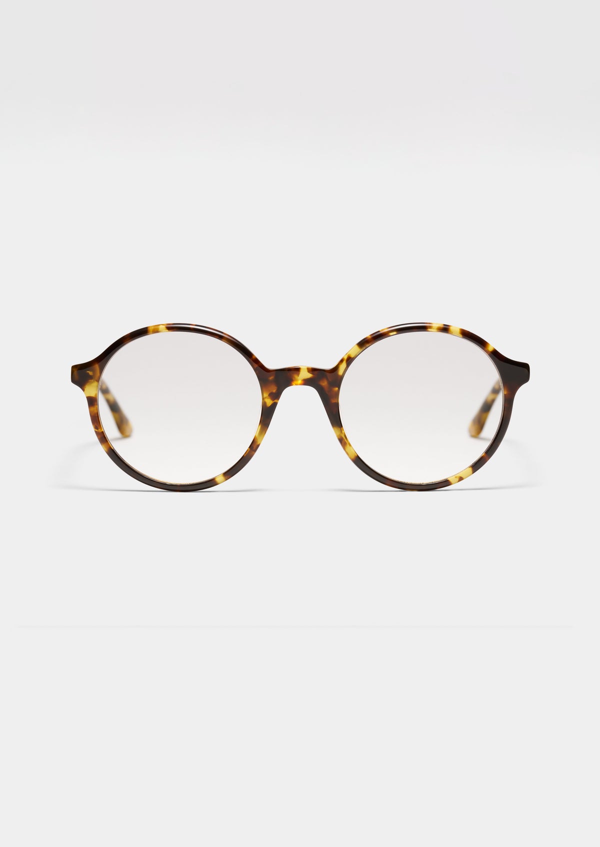 LT6 PRAIRIE YELLOW TORTOISE