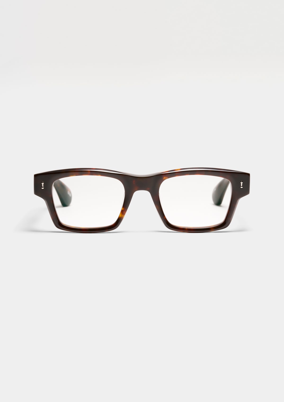 S119 AMY TORTOISE
