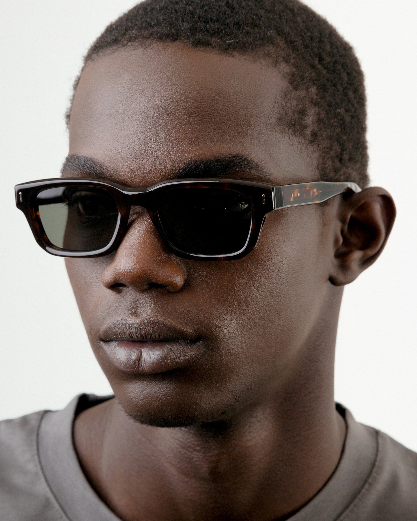 S136 ECLAIREUR TORTOISE G15