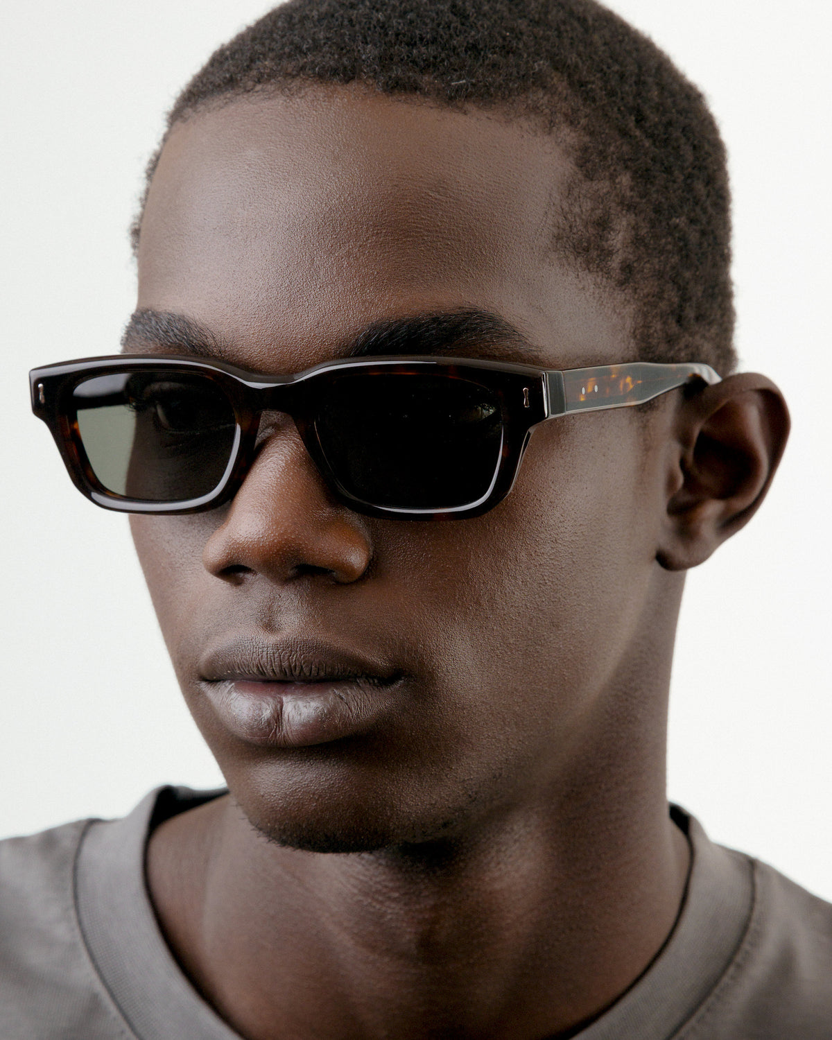 S136 ECLAIREUR TORTOISE G15