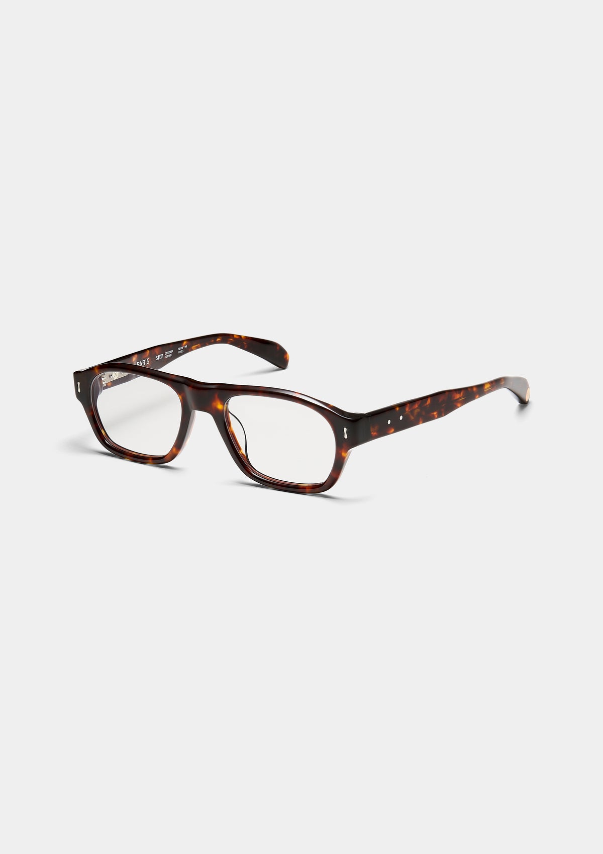 S137 CÔTÉ COUR TORTOISE