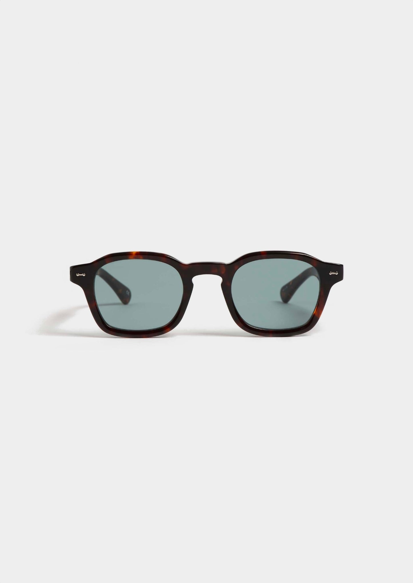 S98 Hero Tortoise Kalla