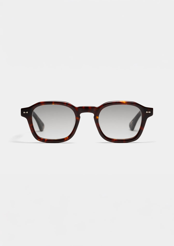 TORTOISE LIGHT FADE BLACK