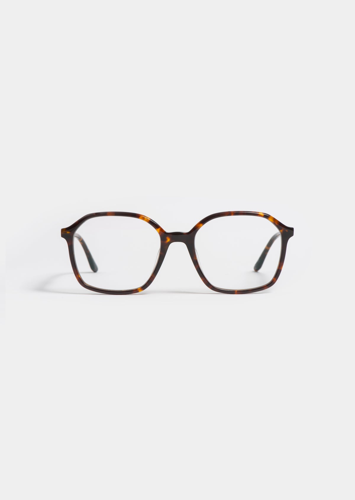 LT12 ALMA TORTOISE