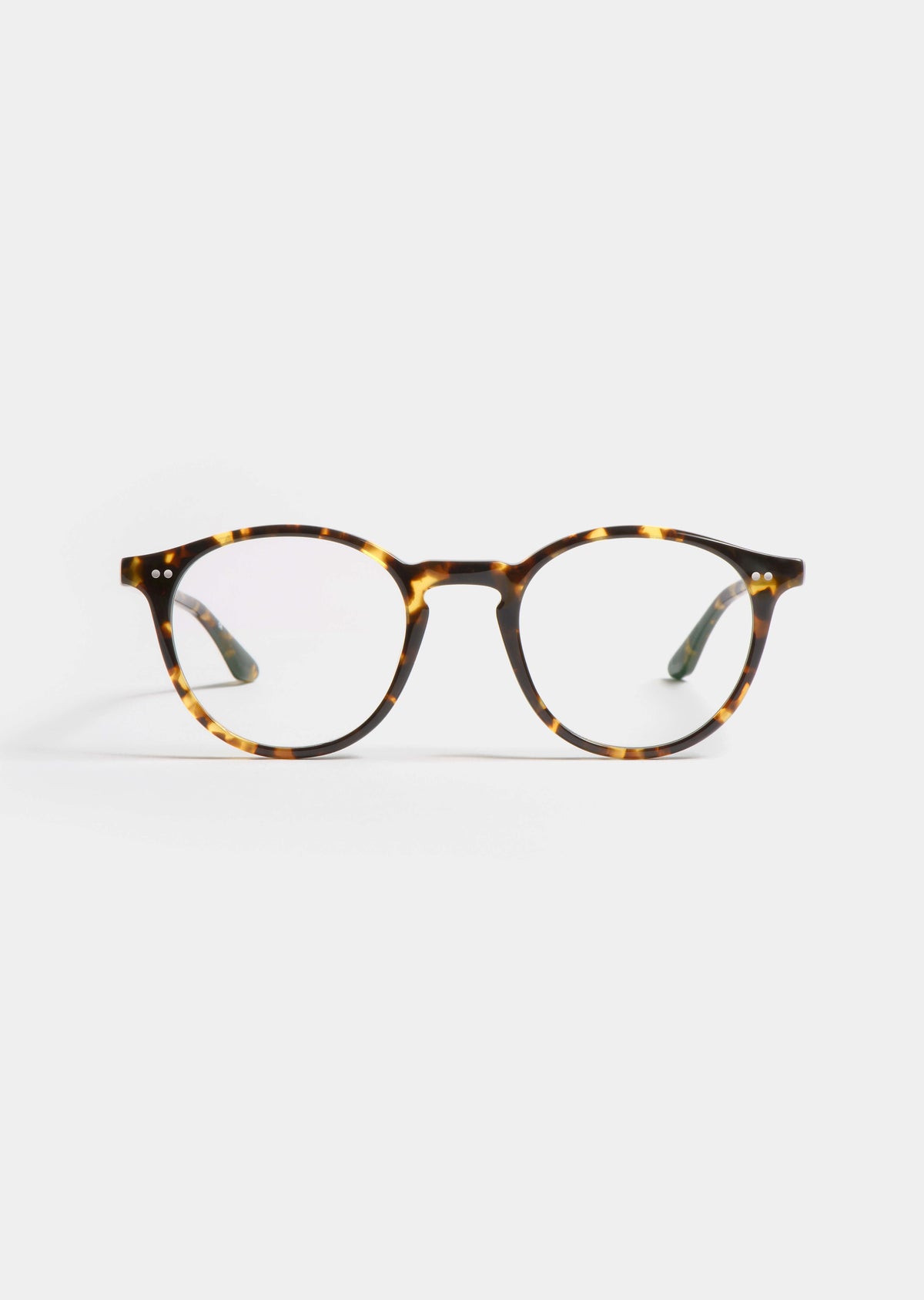 LT3 HEROLD TORTOISE