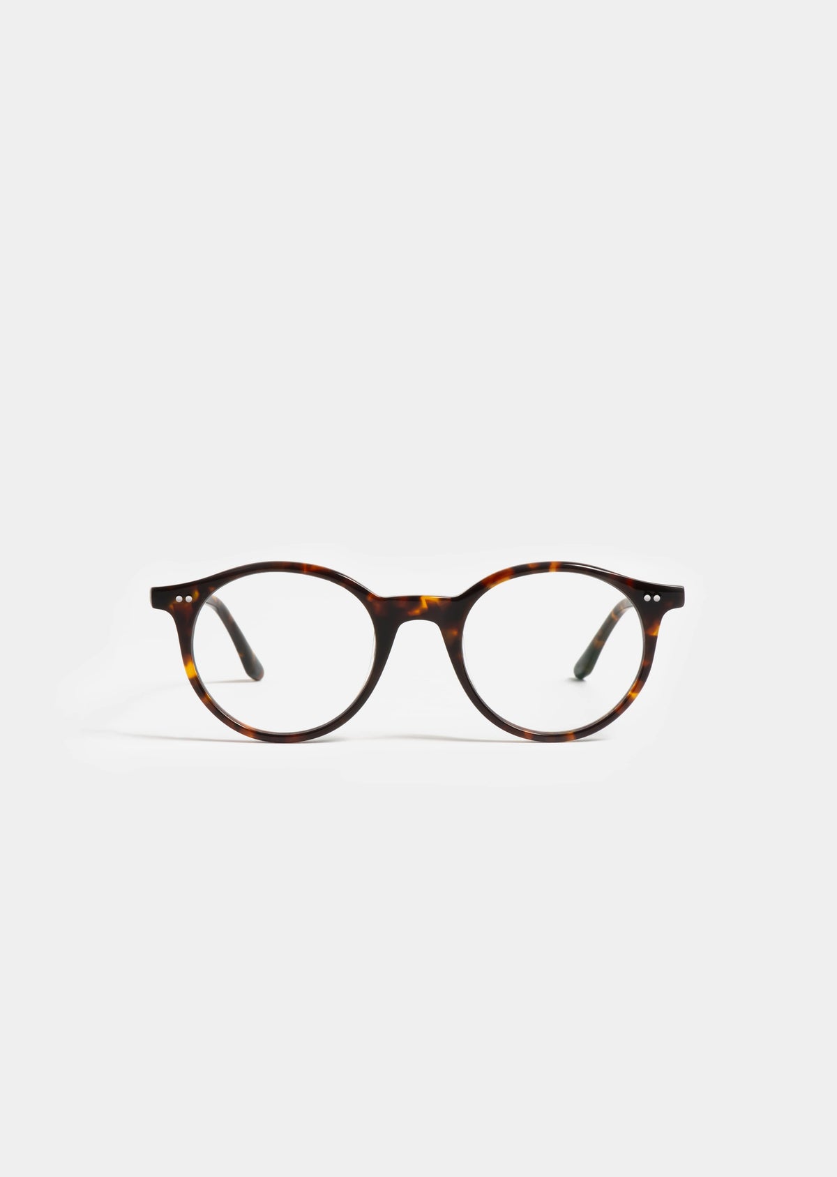 LT11 DUNE TORTOISE